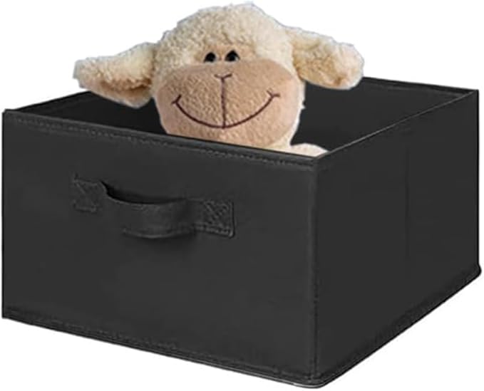 MAX Houser 2 Drawer Hanging Closet Storage Organizer, Black | For Socks, Underwear & Sweaters, Space Saving Vertical Storage for Bedroom Wardrobe, Sturdy Breathable Fabric Construction