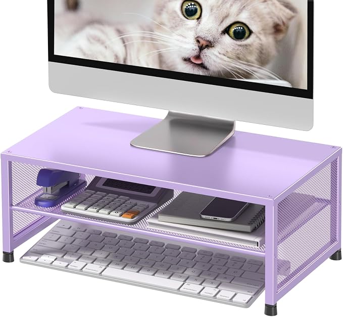 ECOLOVI 2-Tier Computer Monitor Stand Riser, Desk Organizer for Monitor, Printer & Laptop Stand, Desktop Workspace Organizers for Office Supplies(Purple)