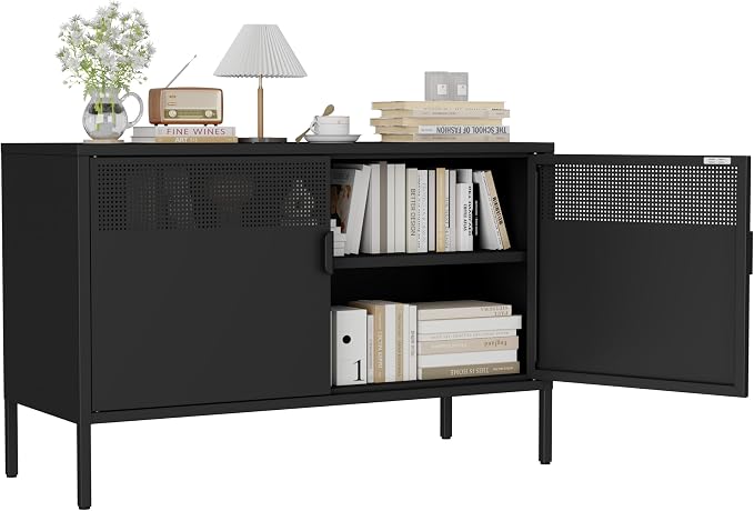 Metal Storage Cabinet with 2 Doors & Adjustable Shelves, Black | 25"H Accent Cabinet, Metal Locker Storage Cabinets, TV Stand Cabinet for Home, Office, Living Room, Entryway