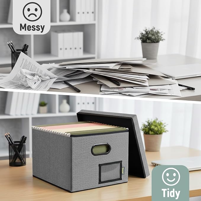 BALEINE File Organizer Box with Lid, Collapsible File Folder Organizer with Plastic Slide, Filing Box for Office Home Document Organizer Storage (Gray, 2PK)