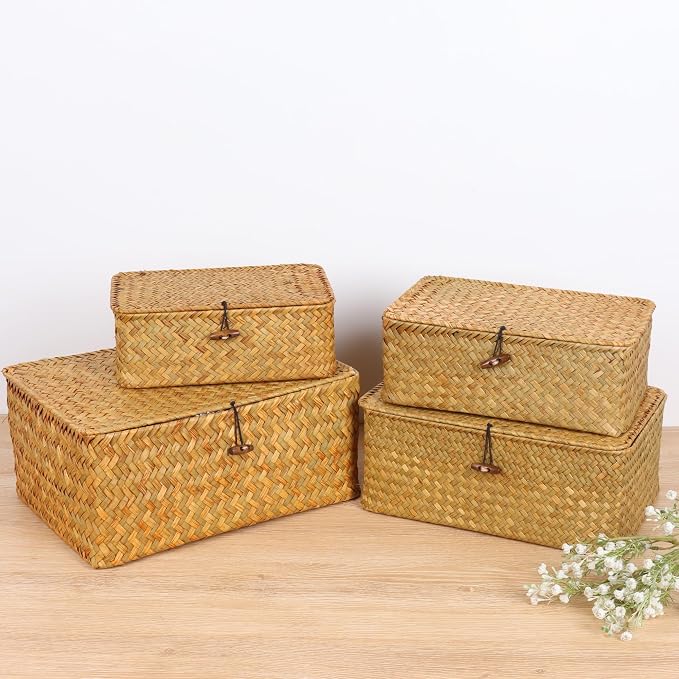 FEIALNDUO Wicker Shelf Baskets with Lid,Seagrass Storage Basket Bins Rectangular Handwoven Basket Boxes for Shelves Desktop Home Organizer (Natural, X-Small)