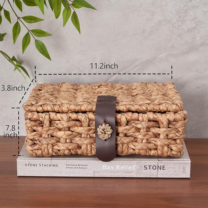 Decorative Box with Lid, Wicker Storage Basket, Water Hyacinth Woven Decorative box for Shelf, Coffee Table, Console Table, Home Decor (Small)