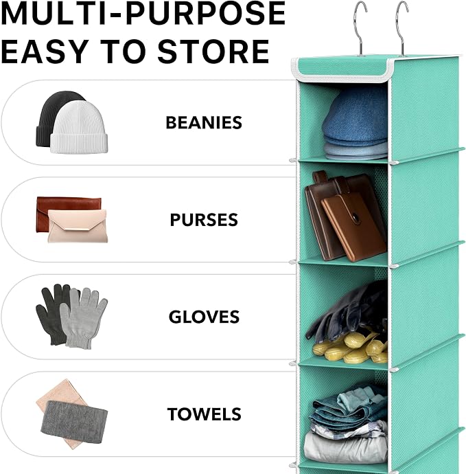Simple Houseware 10 Shelves Closet Hanging Shoe Organizer, Turquoise | Dual Metal Hooks, Holds Up to 20 lbs, for Narrow Space