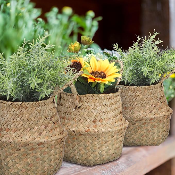 Qunclay 8 Pcs Woven Seagrass Baskets Belly Basket Folding Boho Natural Plant Pot with Handles Round Decorative Wicker Large Indoor Planter for Home Outdoor Tree Planters Decor (XXS,6.3''dx5.5''h)