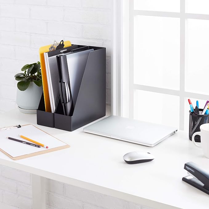 Amazon Basics Plastic Desk Organizer Vertical Magazine Rack and File Holder, Black, 12-Pack