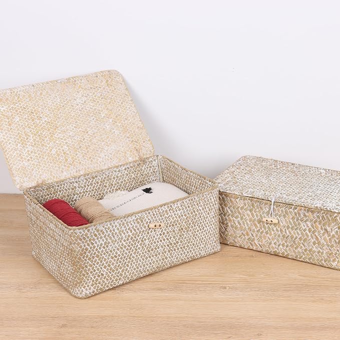 FEIALNDUO Wicker Shelf Baskets with Lid,Seagrass Storage Basket Bins Rectangular Handwoven Basket Boxes for Shelves Desktop Home Organizer (Whitewash, Large)
