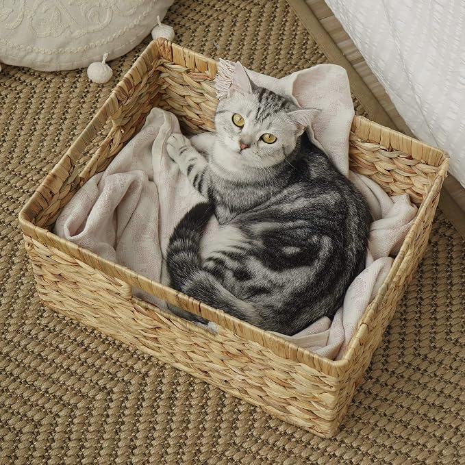StorageWorks Extra Large Wicker Baskets for Organizing, Water Hyacinth Storage Basket with Built-in Handles, 1 Pack