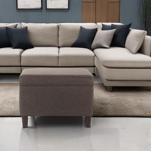 Spatial Order 24" Dinah Collection Storage Ottoman - Chocolate Brown