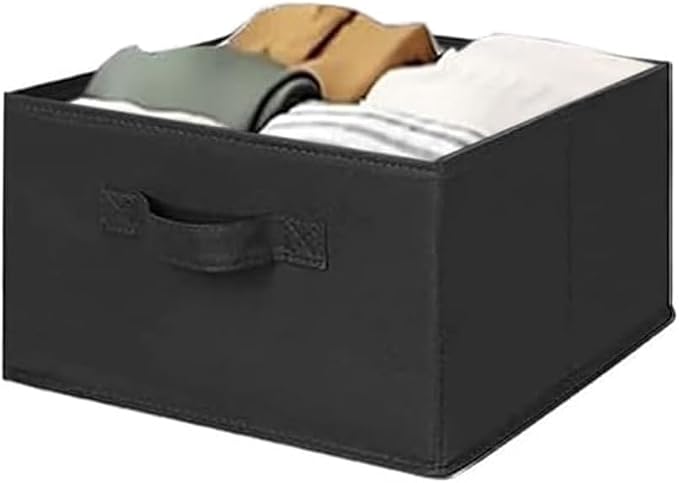 MAX Houser 2 Drawer Hanging Closet Storage Organizer, Black | For Socks, Underwear & Sweaters, Space Saving Vertical Storage for Bedroom Wardrobe, Sturdy Breathable Fabric Construction