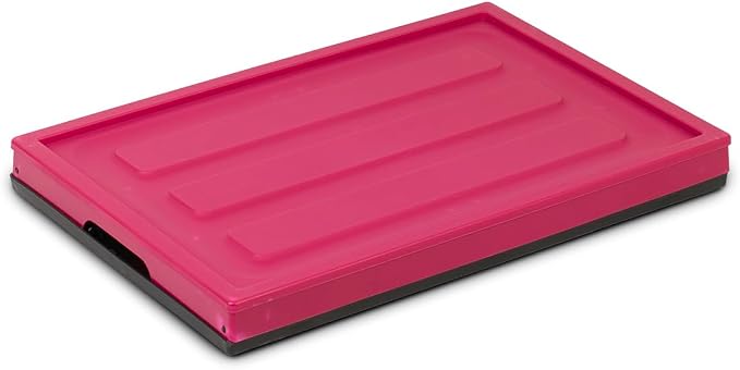 Glad Collapsible Storage Bin with Lid - 48L Foldable Plastic Box for Garage, Car Trunk, and Organization - Stackable Lidded Container with Handles, Purple