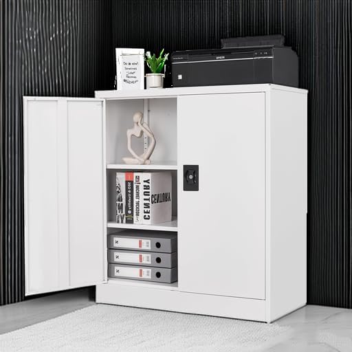 Letaya Metal Storage Cabinets with Lock Door,2 Adjustable Shelves Organizer Steel Storage Cabinets for Home,Office,Warehouse,Garage,Employee Lockers(White)