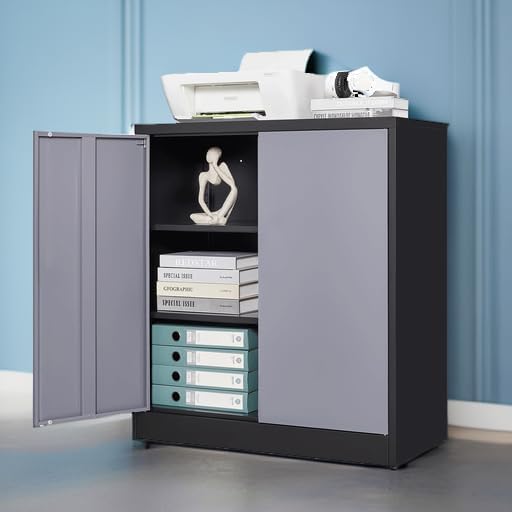 Letaya Metal Storage Cabinets with Lock Door,2 Adjustable Shelves Organizer Steel Storage Cabinets for Home,Office,Warehouse,Garage,Employee Lockers(Black Gray)