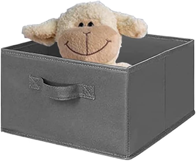 MAX Houser 2 Drawer Hanging Closet Storage Organizer, Dark Grey | For Socks, Underwear & Sweaters, Space Saving Vertical Storage for Bedroom Wardrobe, Sturdy Breathable Fabric Construction