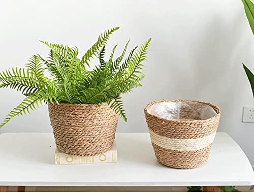 Seagrass Planter Basket Set With Plastic Lining Woven Storage Basket 7x6 In Indoor And Outdoor Plant Flowerpot Baskets Are Very Suitable For Flowerpot Covers. Natural Plant Containers (Small)