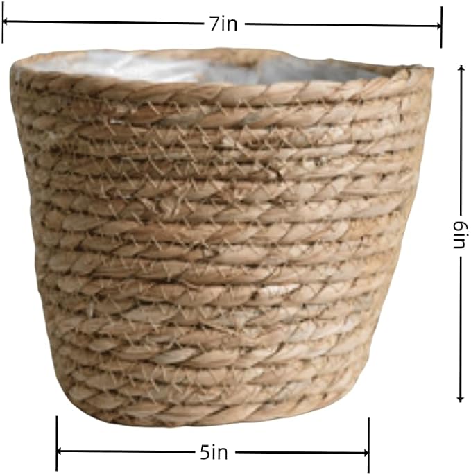 Seagrass Planter Basket Set With Plastic Lining Woven Storage Basket 7x6 In Indoor And Outdoor Plant Flowerpot Baskets Are Very Suitable For Flowerpot Covers. Natural Plant Containers (Small)