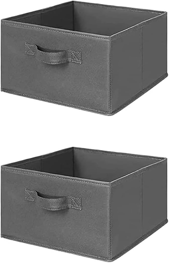 MAX Houser 2 Drawer Hanging Closet Storage Organizer, Dark Grey | For Socks, Underwear & Sweaters, Space Saving Vertical Storage for Bedroom Wardrobe, Sturdy Breathable Fabric Construction