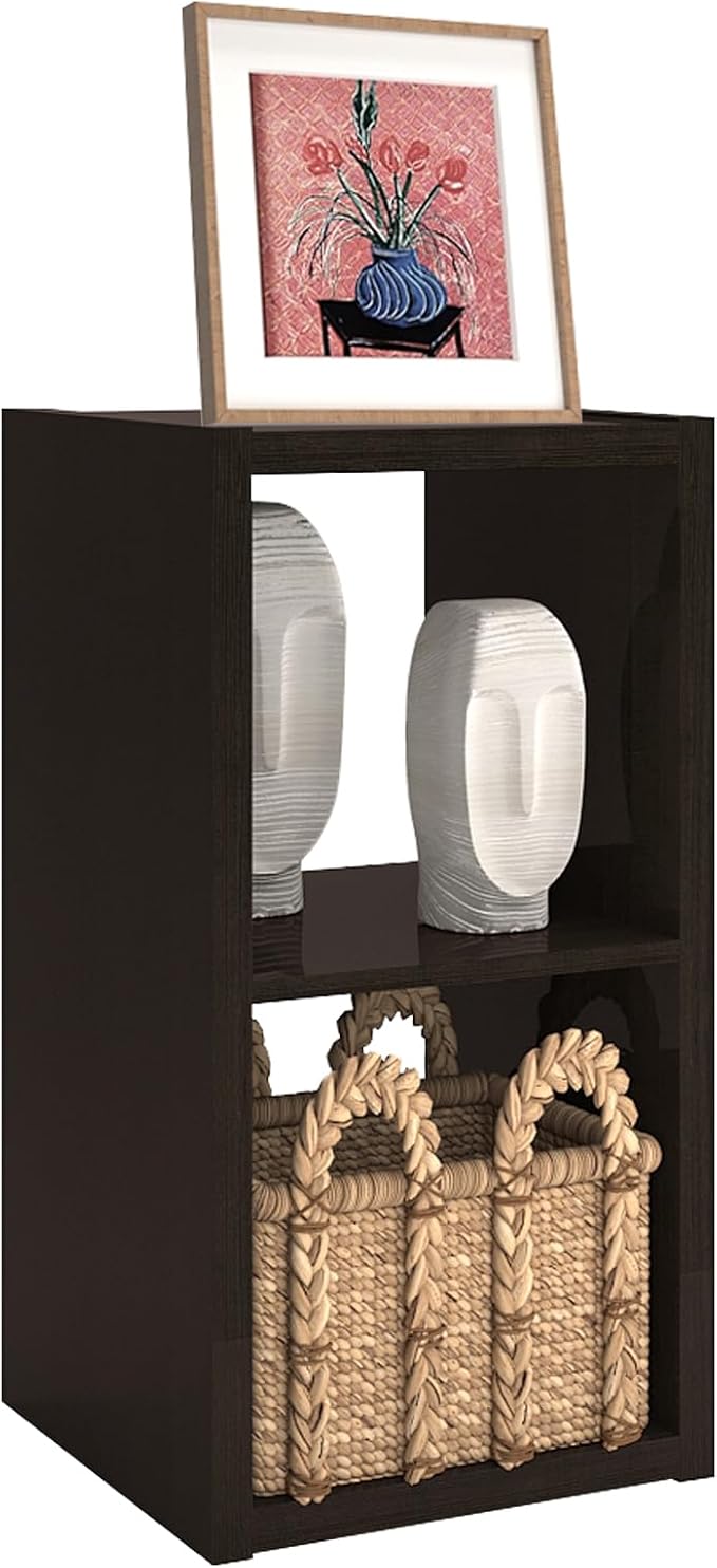 CTESNE【2026 Wooden Thick Frame 2 Cube Storage Organizer Shelf with Anti-Tipping Kits + Reversible Open Back Bookcase, Horizontal and Vertical Dual-use（Chocolate,11inch）