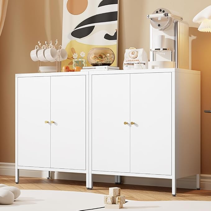 2 Door Metal Accent Storage Cabinet for Home, Living Room, Office Room,Kitchen-Metal Locker Cabinet with 1 Adjustable Shelves-2-Tier (Small 2 Door Cabinet, White)
