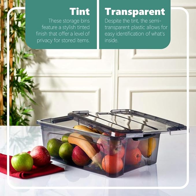 Tribello 12.5 Quart Storage Bins with Lids, Plastic Storage Containers with Latching Lids For Organizing - Tinted - (15.5’ x 12” x 6”) - Set of 2 - Made in EU