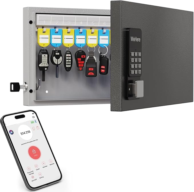 24 Key Lock Box Smart Key Organier Cabinet with Keypad & App for Office | Wall Mounted Lockbox use App, Custom & One Time Password, WiFi (Need W100 Bridge) Unlock for School, Office, Fleet, Hotel