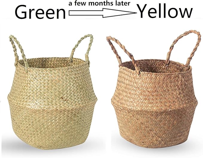 BrilliantJo Seagrass Belly Basket, Set of 2 Woven Plant Pot Holder handmade Home Decor for Storage Plants Picnic Grocery Medium(10.63 x 9.44 inch)