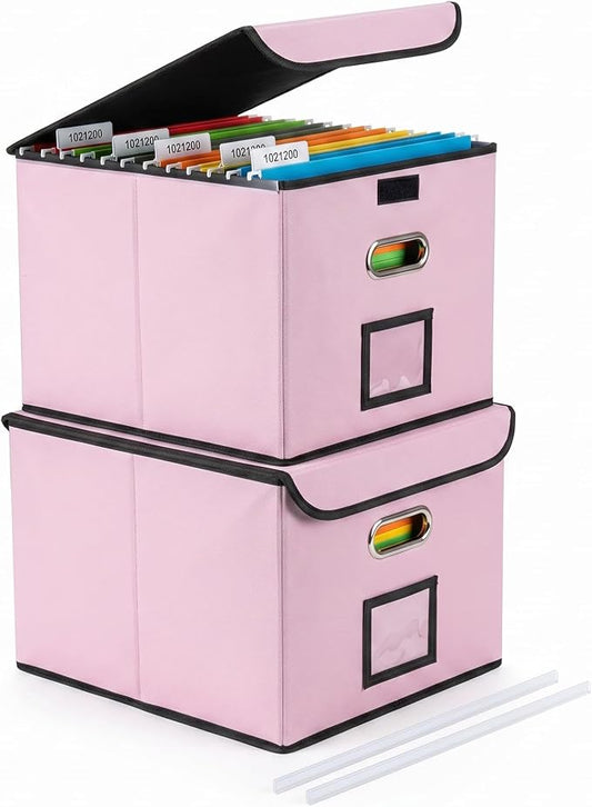 CADONO File Organizer Box with Lid (Pink, 14.9 x 12.59 x 10.8 inch, 2-Pack) | Large Hanging File Folder Organizer with Plastic Slide, Collapsible Portable Filing Storage Boxes for Office/Decor/Home