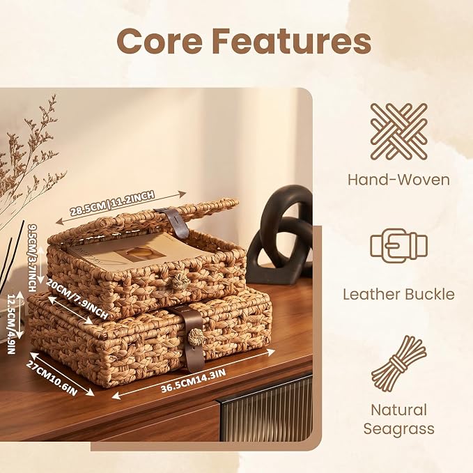 2 Pack Wicker Storage Basket with Lid, Woven Box with Lid, Wicker Basket With Lid for Shelf, Coffee Table, Console Table, Home Deco (Large/Small)