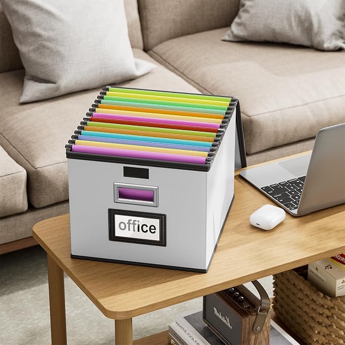 File Organizer Box with Lids, Collapsible File Folder Organizer | File Box with Plastic Slides for Document, Filing Bin for Letter Size Hanging File Folders (1 Pack, Silver, Leather)