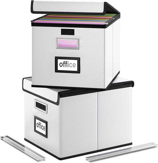 File Organizer Box with Lids, Collapsible File Folder Organizer | File Box with Plastic Slides for Document, Filing Bin for Letter Size Hanging File Folders (2 Pack, Silver, Leather)
