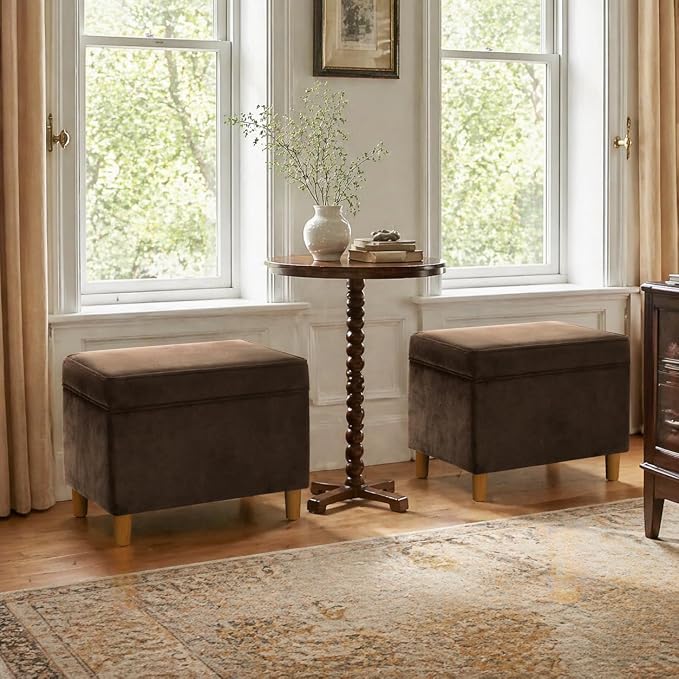 Spatial Order 24" Dinah Collection Storage Ottoman - Chocolate Brown Velvet