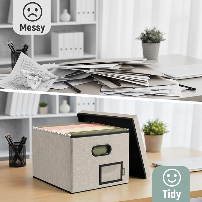 BALEINE File Organizer Box with Lid, Collapsible File Folder Organizer with Plastic Slide, Filing Box for Office Home Document Organizer Storage (Beige, 1PK)