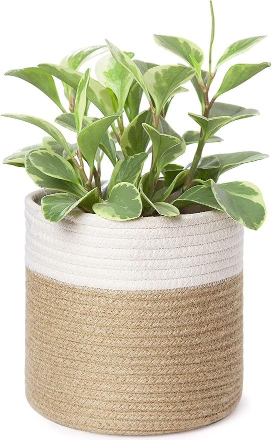 Dahey Plant Basket Indoor for 7 inch Pot Woven Jute Planter, White & Beige | Fits 6"-7" Planters, Reinforced Structure, Foldable Laundry Bin with Handles, Jute Cotton Rope, Decorative Flower Pot Cover