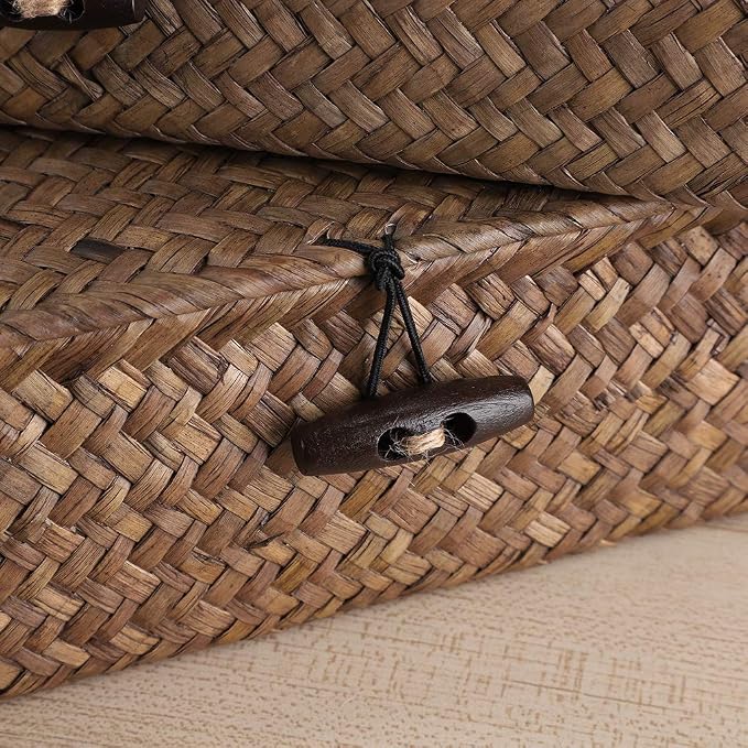 Hipiwe Set of 2 Flat Woven Wicker Storage Bins with Lid Seagrass Basket | Natural Decorative Baskets Multipurpose Home Boxes for Shelf Organizer Home Decor (Coffee)
