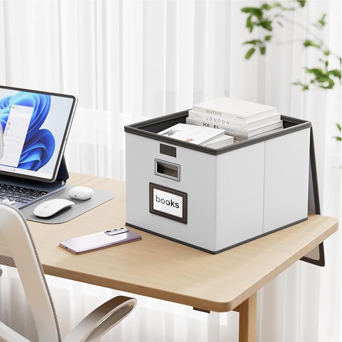 File Organizer Box with Lids, Collapsible File Folder Organizer | File Box with Plastic Slides for Document, Filing Bin for Letter Size Hanging File Folders (2 Pack, Silver, Leather)