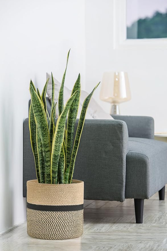Dahey Plant Basket Indoor for 12 inch Pot Woven Jute Planter, Black | Fits 10"-12" Planters, Reinforced Structure, Foldable Laundry Bin with Handles, Jute Cotton Rope, Decorative Flower Pot Cover