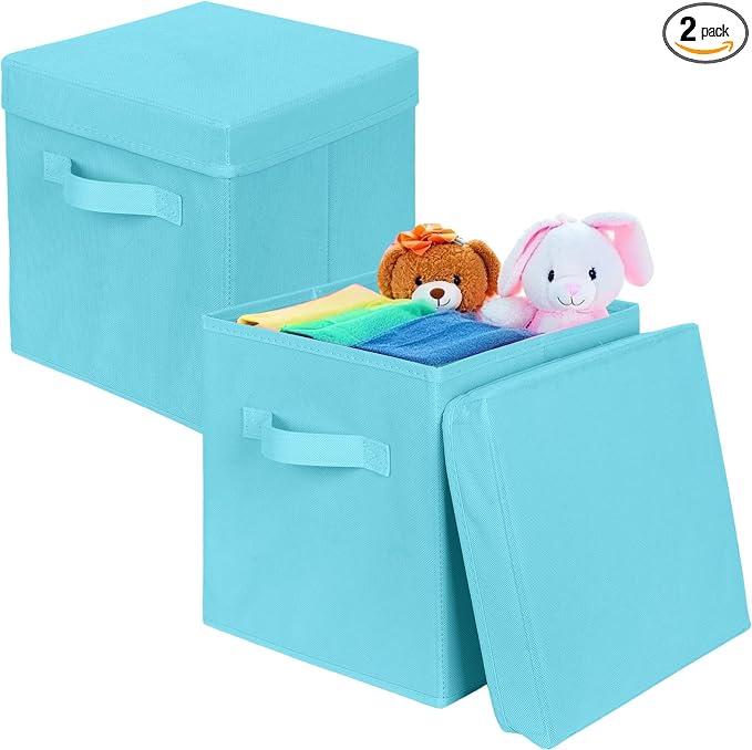 ShellKingdom Storage Bins, Foldable Fabric Storage Cube with Lid for Closet | Clothes Storage Organizer Drawer For Closet Toys Storage, 10.5 X 10.5 X 11 INCH, 2 Pack (Light Blue)