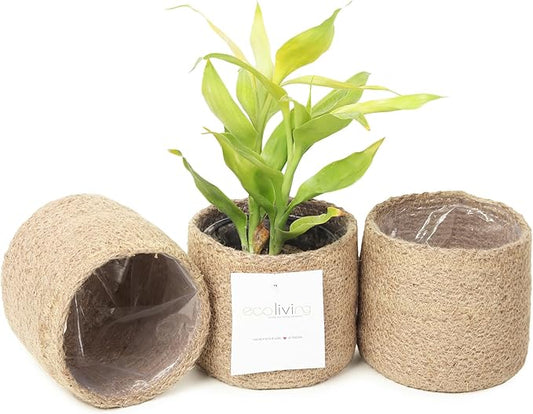 Jute Small Plant Pots Set of 3, 4.5 inches, Natural Jute | Jute Planter Basket-Woven Rope Covers for Decorating Indoor/Outdoor Succulents Multi-Purpose Storage Bins Modern Style Decor