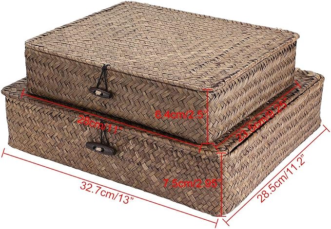 Hipiwe Set of 2 Flat Woven Wicker Storage Bins with Lid Seagrass Basket | Natural Decorative Baskets Multipurpose Home Boxes for Shelf Organizer Home Decor (Coffee)