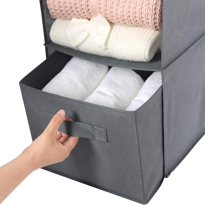 MAX Houser 2 Drawer Hanging Closet Storage Organizer, Dark Grey | For Socks, Underwear & Sweaters, Space Saving Vertical Storage for Bedroom Wardrobe, Sturdy Breathable Fabric Construction
