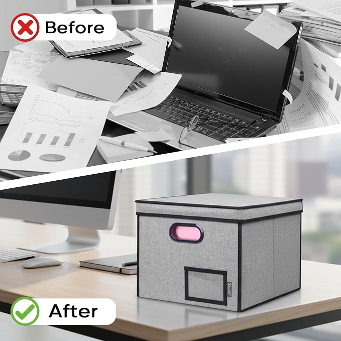 BALEINE File Organizer Box with Lid, Collapsible File Folder Organizer with Plastic Slide, Hanging File Folder Box for Office Document Storage (Tab Friendly, 1 Pack, Grey)