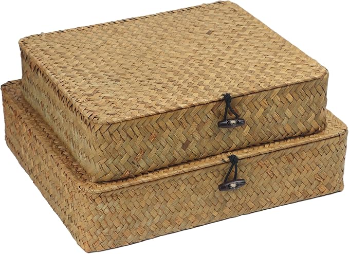 Flat Seagrass Wicker Baskets with Lids, Set of 2 | Small and Large Storage Boxes, Shelf Organizer Bins, Woven Home Storage, Stackable Flat Design, Natural Decor