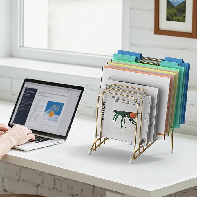 Incline Sorter Desk File Organizer, Metal Desk Magazine Folder Holder with 8-Section Vertical Compartments Rack File Organizer for Office, Home, School