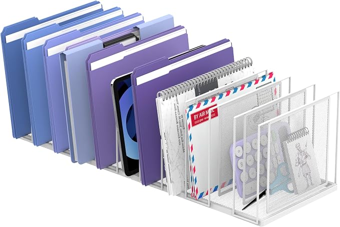 File Organizer for Desk, 11-Section Vertical File Sorter, Paper Holder Organizer Standing Metal File Folder for Office Home Classroom, White
