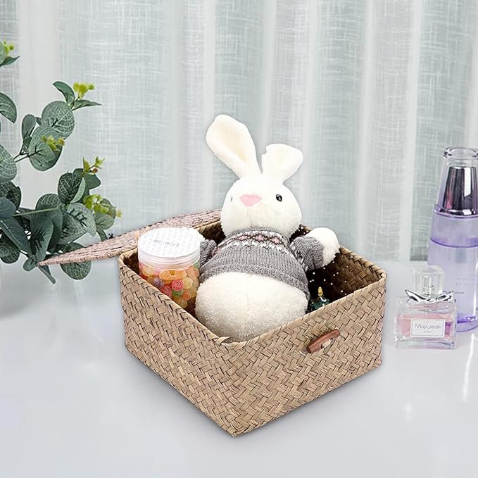 Hipiwe Small Wicker Shelf Baskets Handwoven Seagrass Storage Bin with Lid | Multipurpose Household Basket Boxes Square Basket Container for Shelves and Home Organizer, Coffee