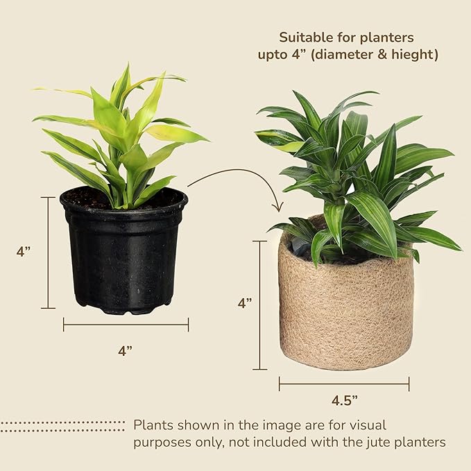 Jute Small Plant Pots Set of 3, 4.5 inches, Natural Jute | Jute Planter Basket-Woven Rope Covers for Decorating Indoor/Outdoor Succulents Multi-Purpose Storage Bins Modern Style Decor