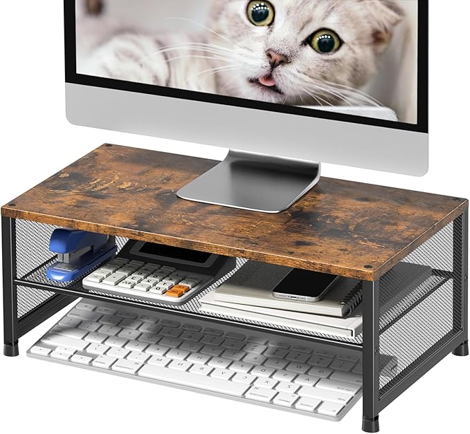 ECOLOVI 2-Tier Computer Monitor Stand Riser, Desk Organizer for Monitor, Printer & Laptop Stand, Desktop Workspace Organizers for Office Supplies(Brown)