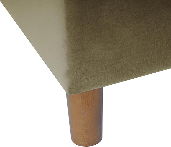 Spatial Order 24" Dinah Collection Storage Ottoman - Light Sage Green Velvet