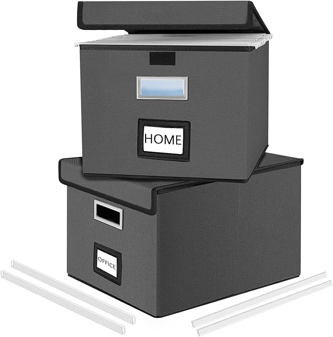 File Organizer Box with Lids, Collapsible File Folder Organizer | File Box with Plastic Slides for Document, Filing Bin for Letter Size Hanging File Folders (2 Pack, Dark Gray)
