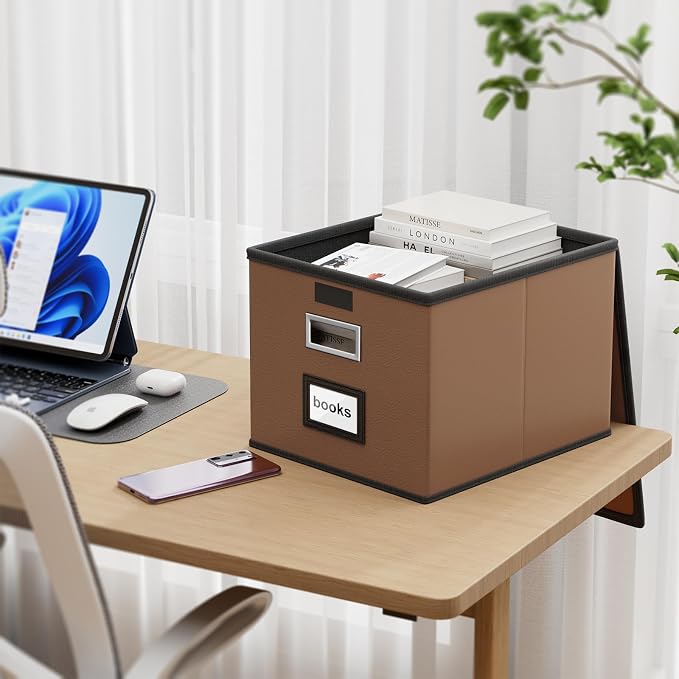 File Organizer Box with Lids, Collapsible File Folder Organizer | File Box with Plastic Slides for Document, Filing Bin for Letter Size Hanging File Folders (2 Pack, Brown, Leather)