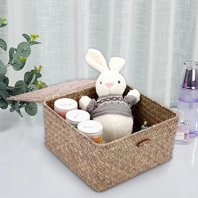 Hipiwe Wicker Shelf Baskets Bin with Lid Handwoven Seagrass Storage Basket Container Square Multipurpose Household Basket Boxes for Shelves and Home Organizer, Coffee Large
